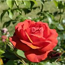 ���� �������, ���������� - ��������� 10 ������� 2025 � ������ ���� ����������