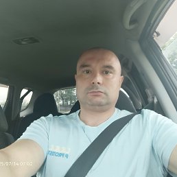 ������, 40 ���, ���������