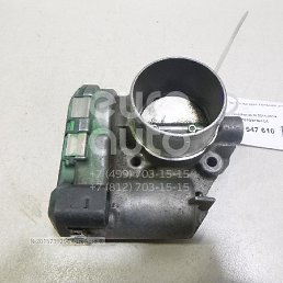 ����, �����-���������, 40 ���