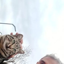 Murat, 42 ����, ������