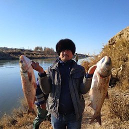 �����, ������, 56 ���