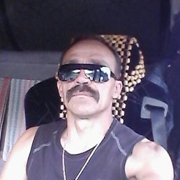 , 61, 