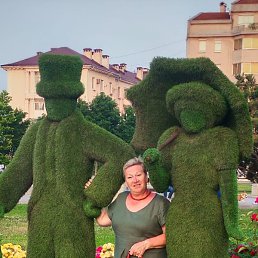 ��������, ������������, 54 ����