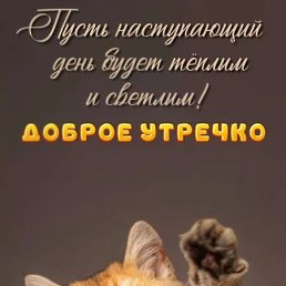 ���� ����, ���������, 35 ��� - ��������� 23 ���� 2026