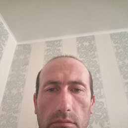 , 38, 