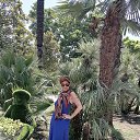 ���� �����, ������, 50 ��� - ��������� 25 ���� 2025