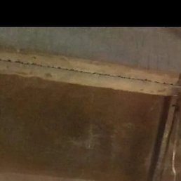 ������, �����, 49 ���