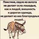 ���� ����, ������, 27 ��� - ��������� 14 ����� 2024 � ������ ���� ����������