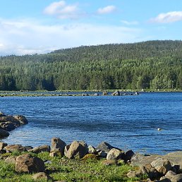 ���� �����, ��������, 59 ��� - ��������� 11 �������� 2024