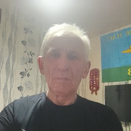 , 65, 