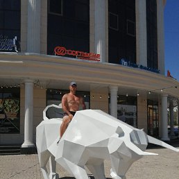 ���� �������, ���������, 41 ��� - ��������� 16 ������� 2025