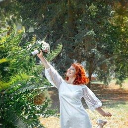 ���� �����, ���������, 40 ��� - ��������� 23 ������ 2025