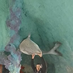 ���� Seryozniy Yigit, �����, 30 ��� - ��������� 18 ������� 2024