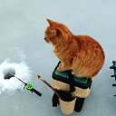 ���� ���������, ������, 69 ��� - ��������� 6 ������ 2025 � ������ ���� ����������