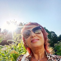 �������, ��������, 66 ���