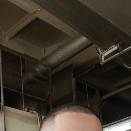 , 43 , 