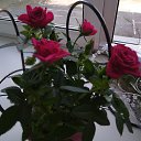 ���� �������, ���� - ��������� 30 ������� 2025 � ������ ������ ��������
