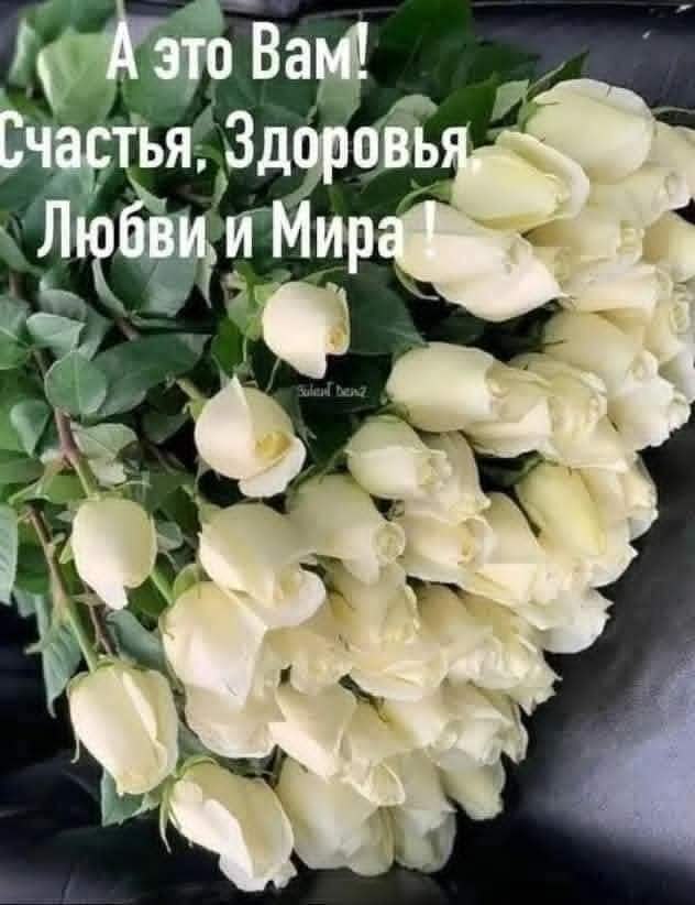 :)       ...        .  ...  ...