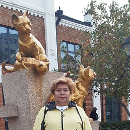 ���� �������, ������, 66 ��� - ��������� 12 ������ 2023