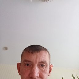 ��������, 41 ���, ����