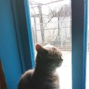 ���� ������, ������, 52 ���� - ��������� 9 ������ 2026 � ������ ���� ����������