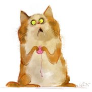 ����, 41 ���, ������