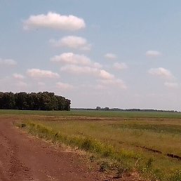 ����, ����, 46 ���