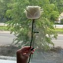 ���� �����, ������, 29 ��� - ��������� 19 ������� 2025 � ������ ���� ����������