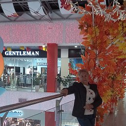 ����, ���������, 37 ���