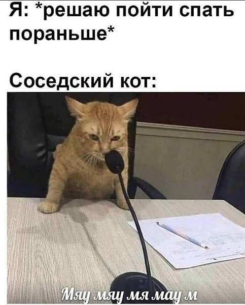    - 29  2024  06:37