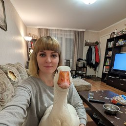 ���� �, ��������� ���� - ��������� 7 ������ 2026