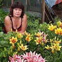 ���� ����, �������, 65 ��� - ��������� 17 ���� 2025