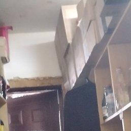 , 40, 