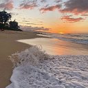 ���� ���������, �������, 54 ���� - ��������� 3 ������ 2026