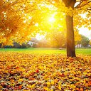 ���� �������, ��������, 43 ���� - ��������� 11 ������� 2023 � ������ ������ ��������