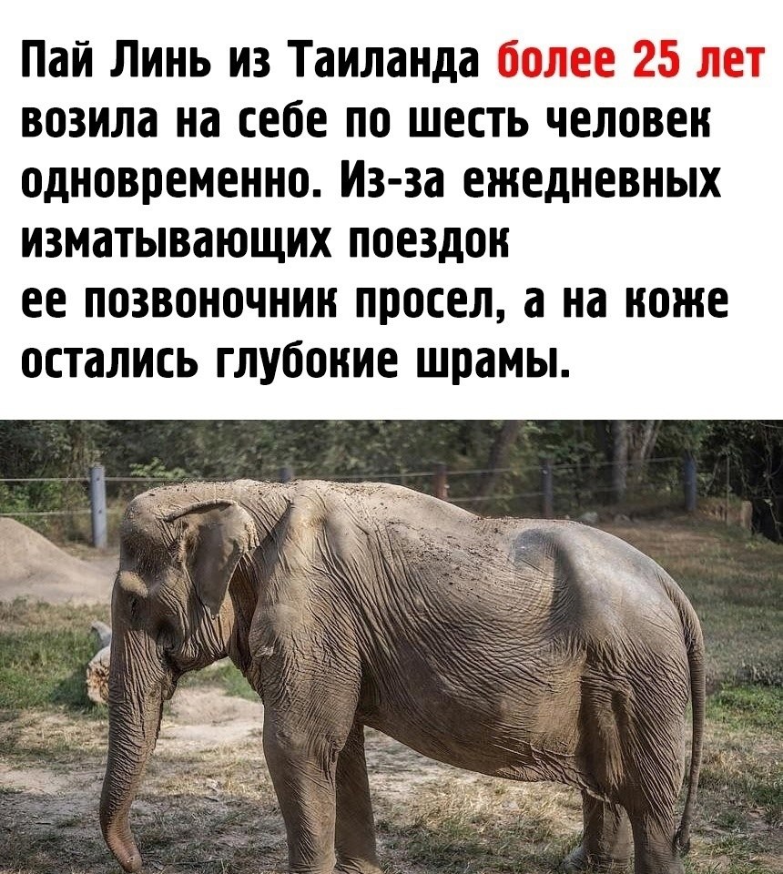 �� ��� ����� ����� ���? - 2