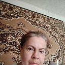 ���� �����, ��������, 41 ��� - ��������� 12 ���� 2024 � ������ ���� ����������