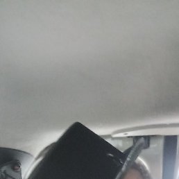 , 37, 