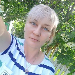 ����, 41 ���, ����