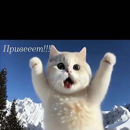 ���� �������, ������, 50 ��� - ��������� 28 ������� 2023