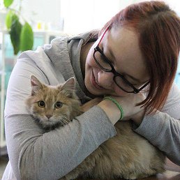 ���, ����-���, 29 ���