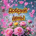 ���� �����, ������ - ��������� 5 ������� 2026 � ������ ������ ��������