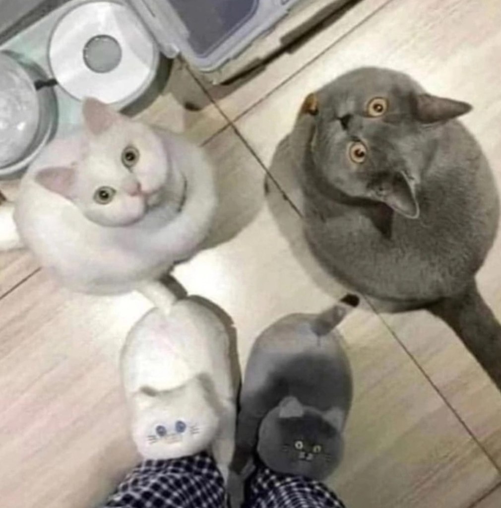     -? - 3