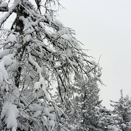 ���� �������, ��������� - ��������� 13 ������ 2025