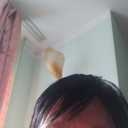 , 45, 