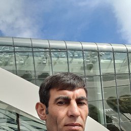, 37 , 