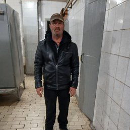 , 58 , 