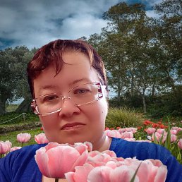 ���� ����, ����������, 34 ���� - ��������� 18 ���� 2025