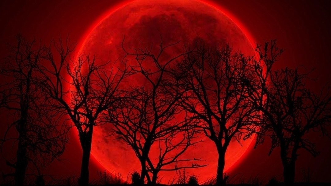    13  14      .     ...