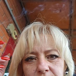 ���� ����, ������������, 41 ��� - ��������� 1 ������� 2026